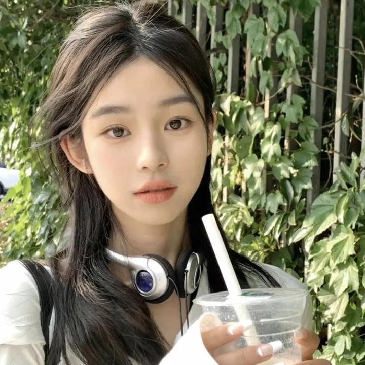 海豚伯尼2